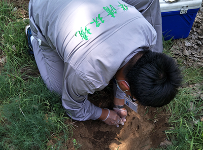 土壤采樣 土壤采樣