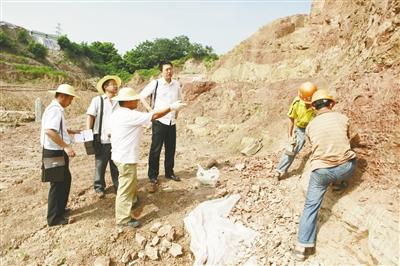 污染土壤采樣 污染土壤采樣