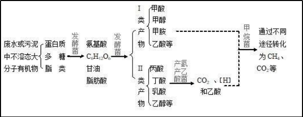 水解酸化 水解酸化