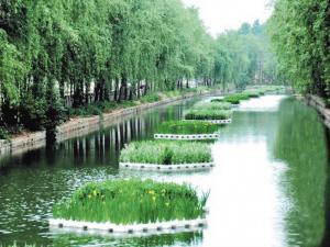 1618454377719052.jpg 生態(tài)浮島技術(shù).jpg
